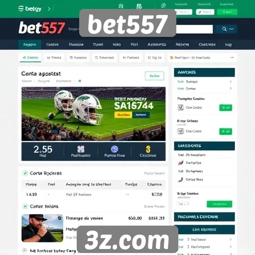 Experiência do usuário no site bet557